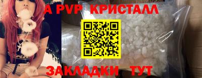 бошки Дубна