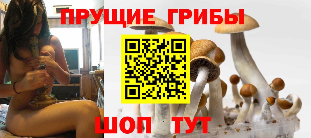 Луга  Галлюциногенные грибы Cubensis  Вход с VPN 
